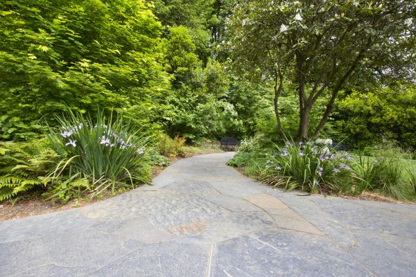 Stone Hardscape Service in Saint Paul